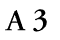 A3